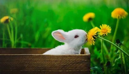 九游官网APP-英雄联盟 冬季赛激战正酣，lol冬季赛2020什么时候开始