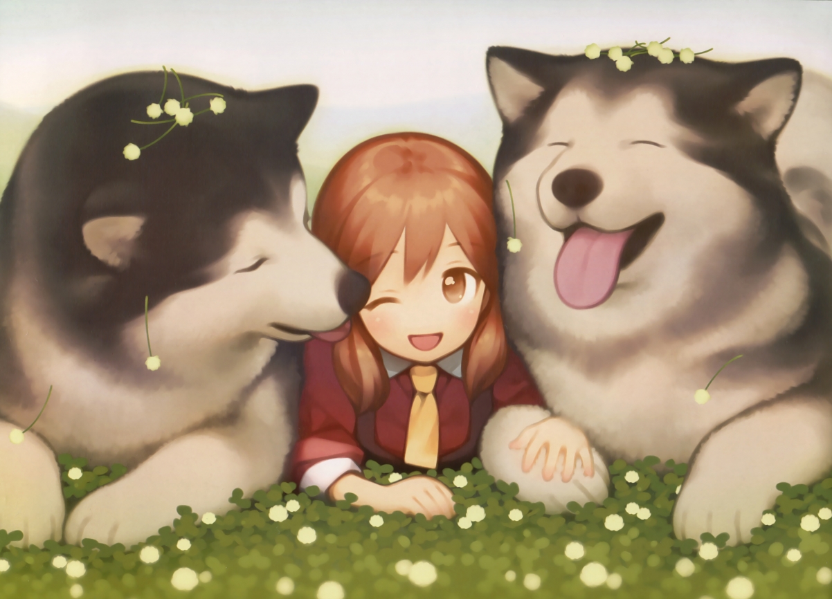 阿根廷夺得第16座美洲杯冠军，创纪录，阿根廷美洲杯上一次夺冠