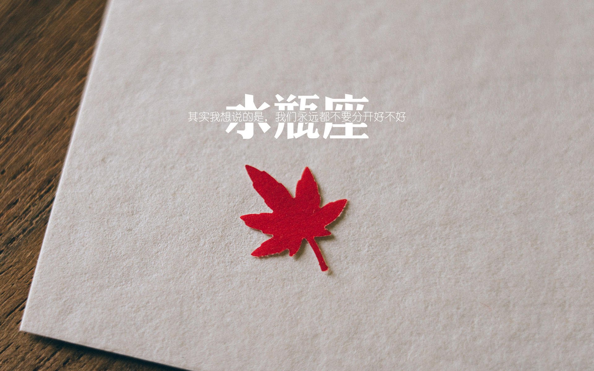 尼克斯管理层评估球队阵容,考虑引援补强,尼克斯球队位置