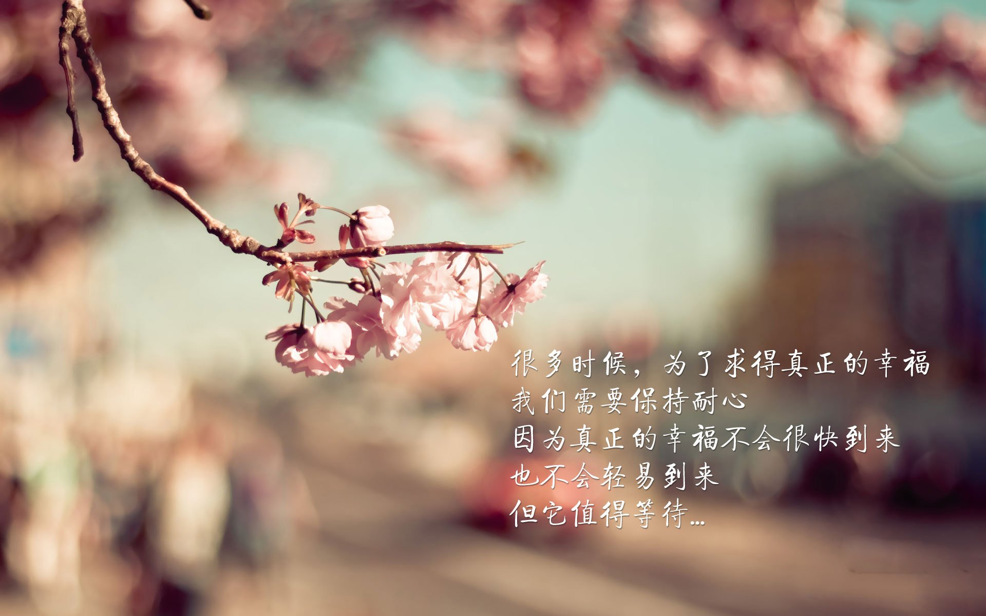 博卡后卫出球被迫频繁回传，博卡的主场是哪个球场