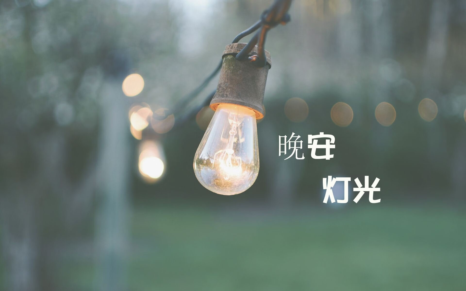 女子200蝶：节奏与爆发的完美结合，女子200米蝶泳决赛直播