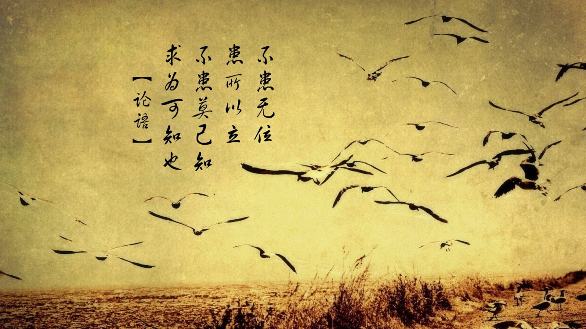九游娱乐(jiuyou)官方网站-乌拉圭女篮在南美锦标赛中夺冠，展现强大实力