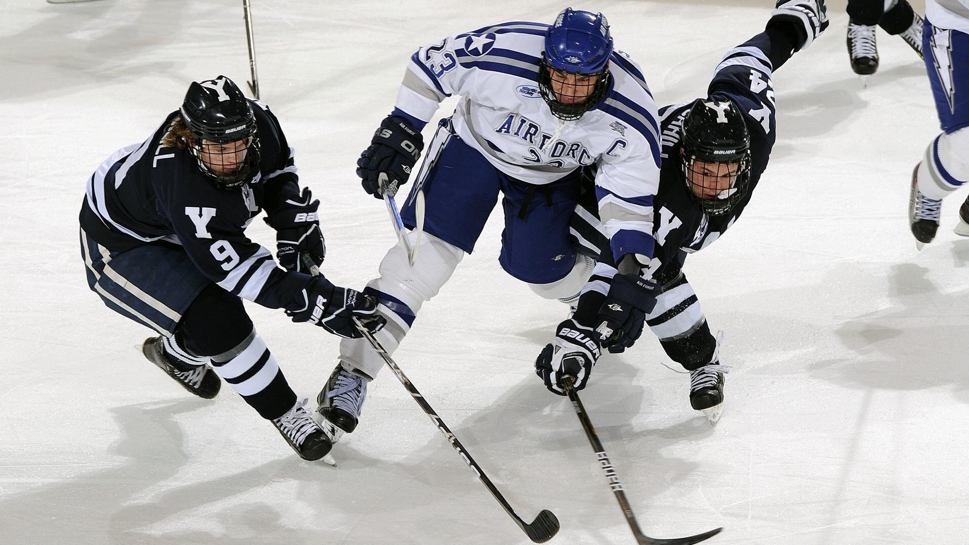 《专题报道：电竞选手的日常训练与生活》，电竞选手的标准